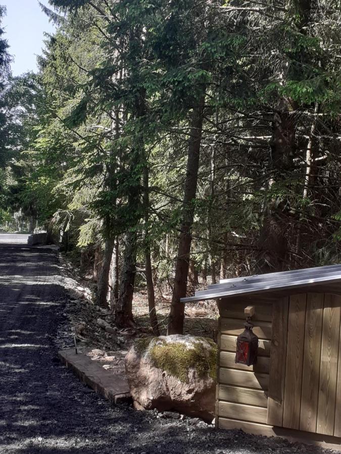 Chalet Libellule Domaine De La Mamounette Champclause 외부 사진