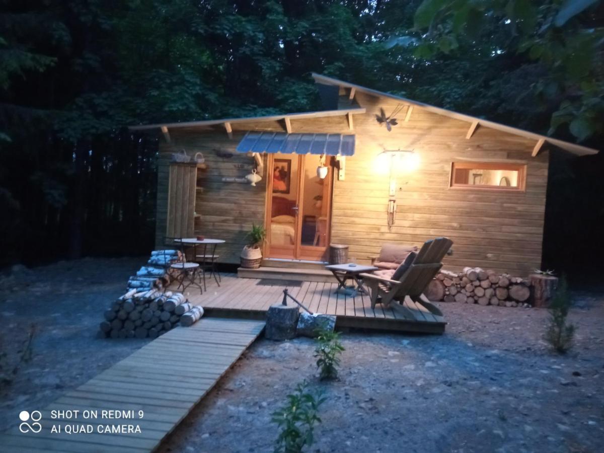 Chalet Libellule Domaine De La Mamounette Champclause 외부 사진