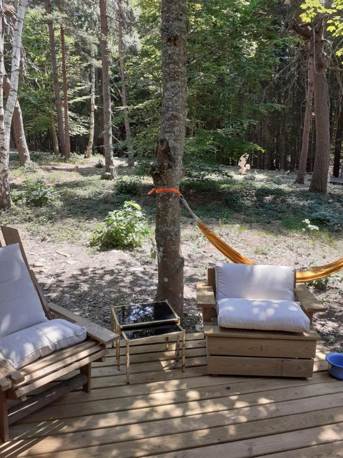 Chalet Libellule Domaine De La Mamounette Champclause 외부 사진