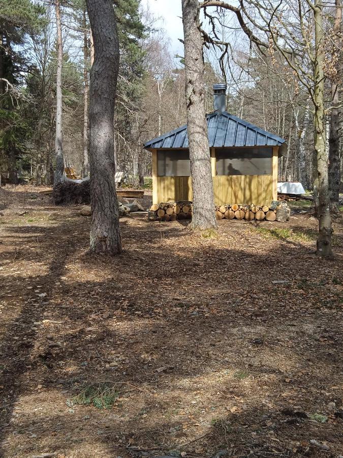 Chalet Libellule Domaine De La Mamounette Champclause 외부 사진